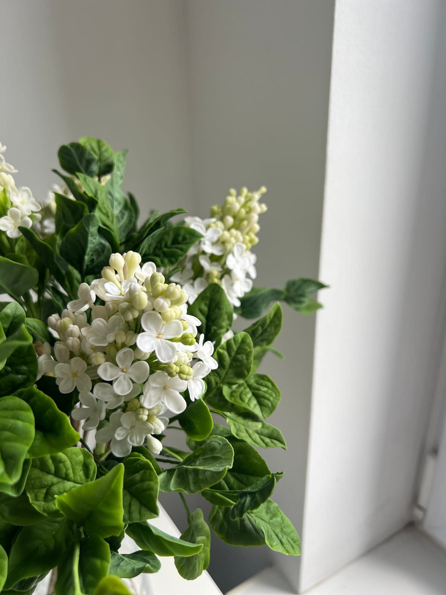 Ботаническая скульптура сирени