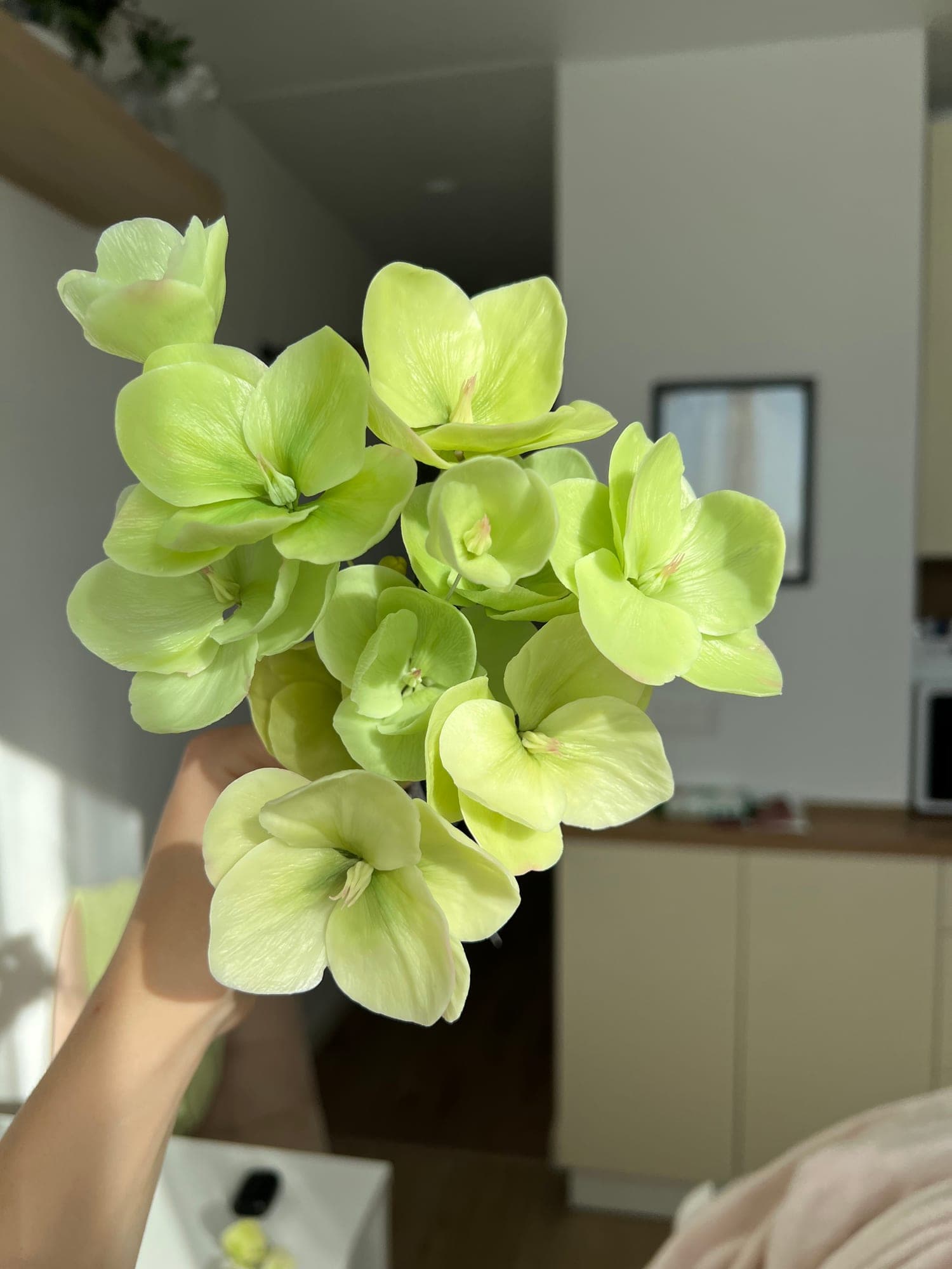 Букет зелёных морозников
