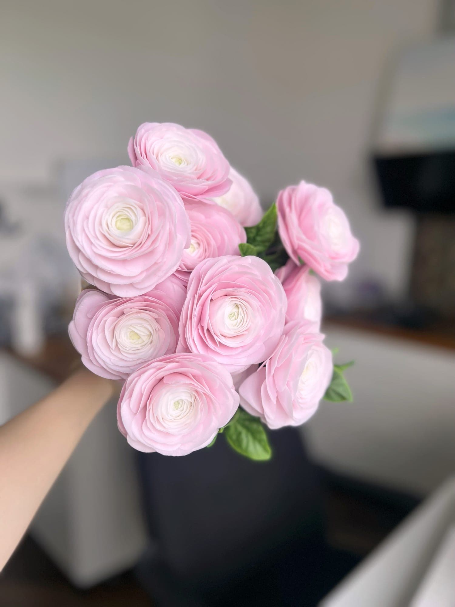 Розовые ранункулюсы в руке