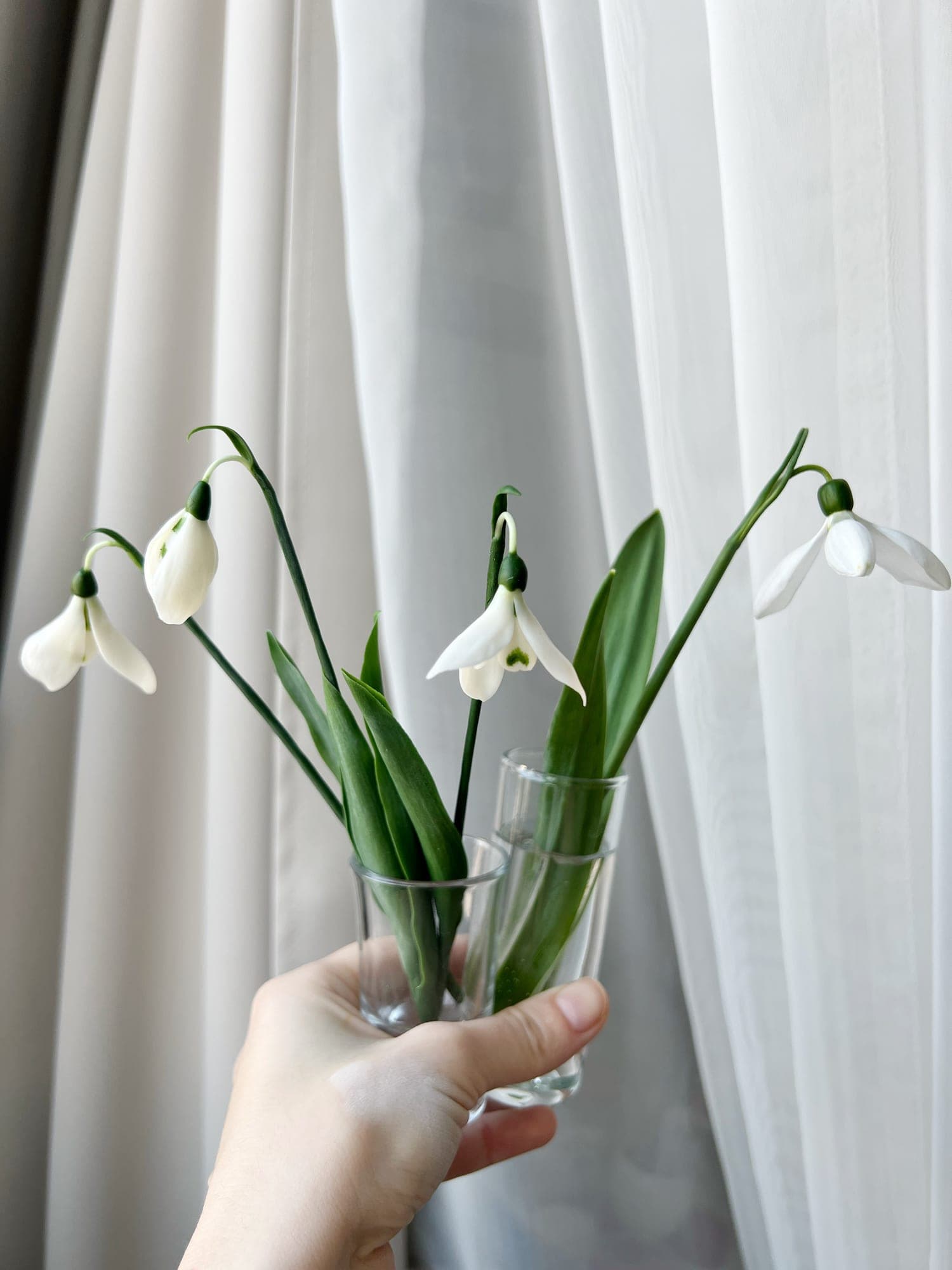 Подснежники из холодного фарфора