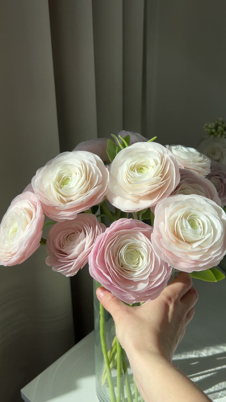 Розовые ранункулюсы